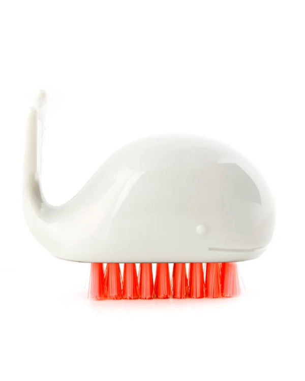Bürste Wal Weiß