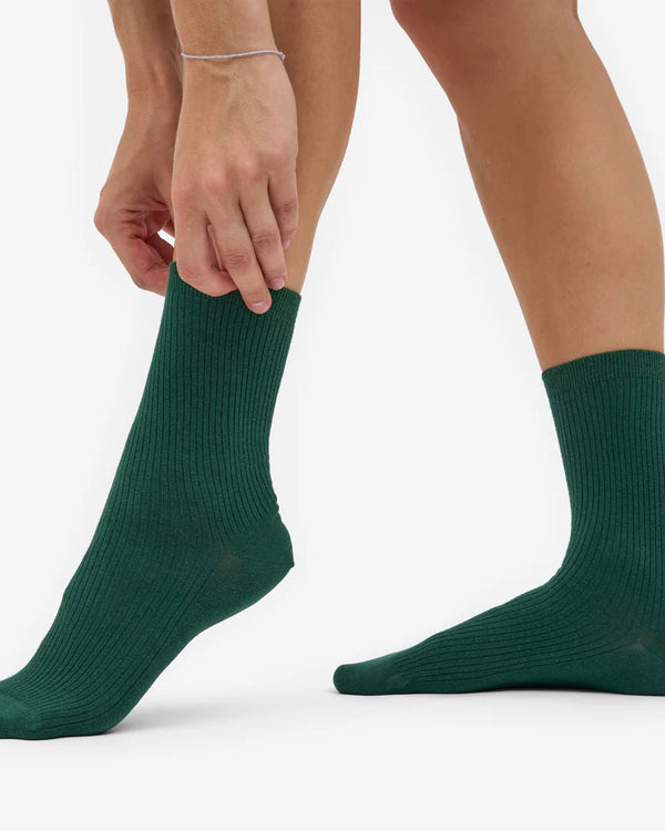 Colorful Standard - Classic Organic Socks Emerald Green