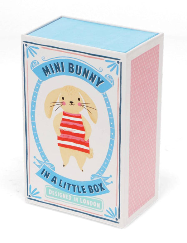 Mini Bunny in a Little Box