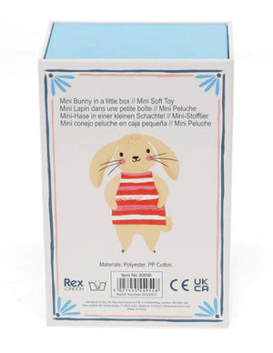 Mini Bunny in a Little Box