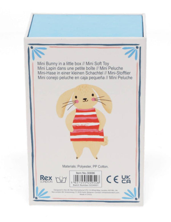 Mini Bunny in a Little Box