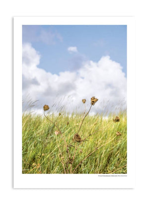 Wochenender Serie: Eiderstedt Poster (Din A3)