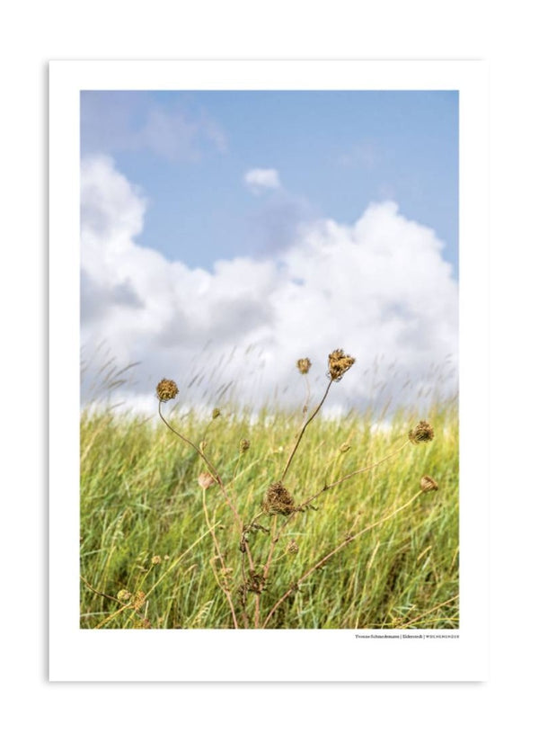 Wochenender Serie: Eiderstedt Poster (Din A3)