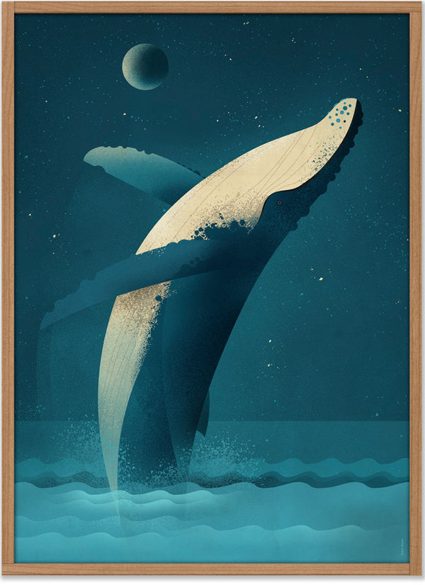 Humpback Whale Poster (50 x 70 cm)