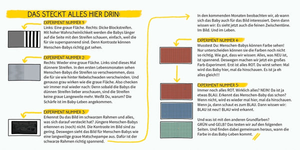 BiBiBiber hat da mal 'ne Frage - Farbe & Kontrast