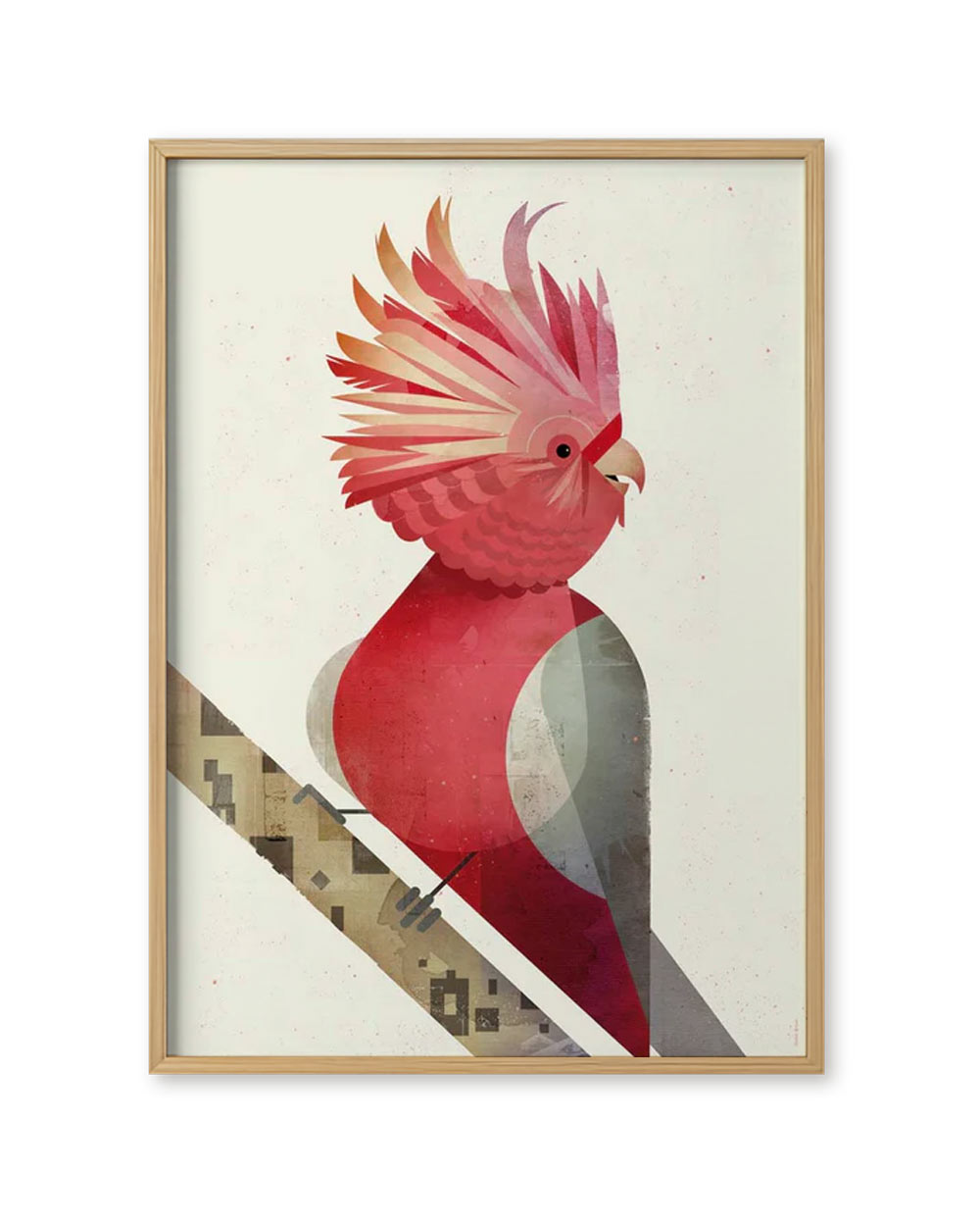 Kakadu Poster (50 x 70 cm)