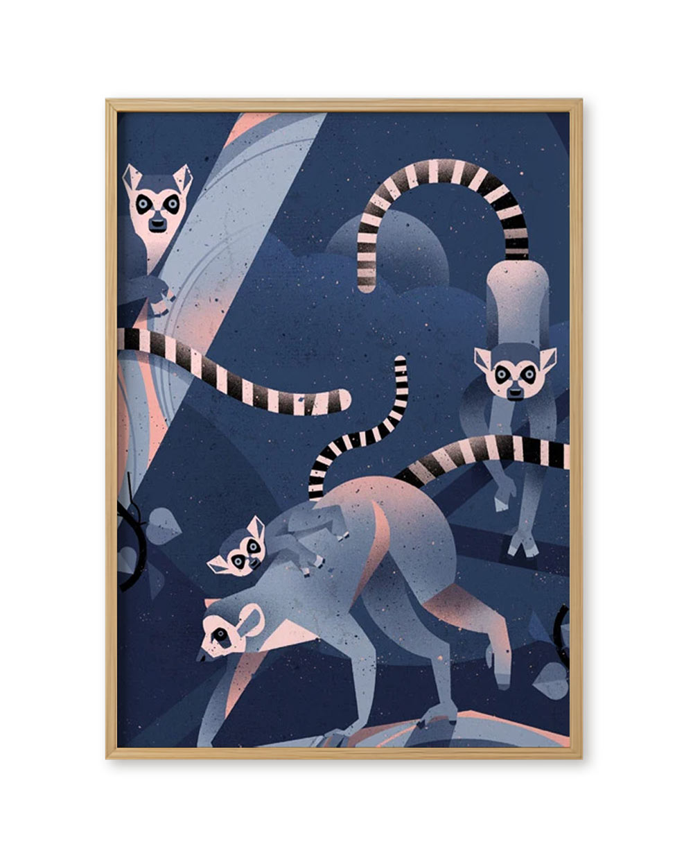 Katta Poster (50 x 70 cm)