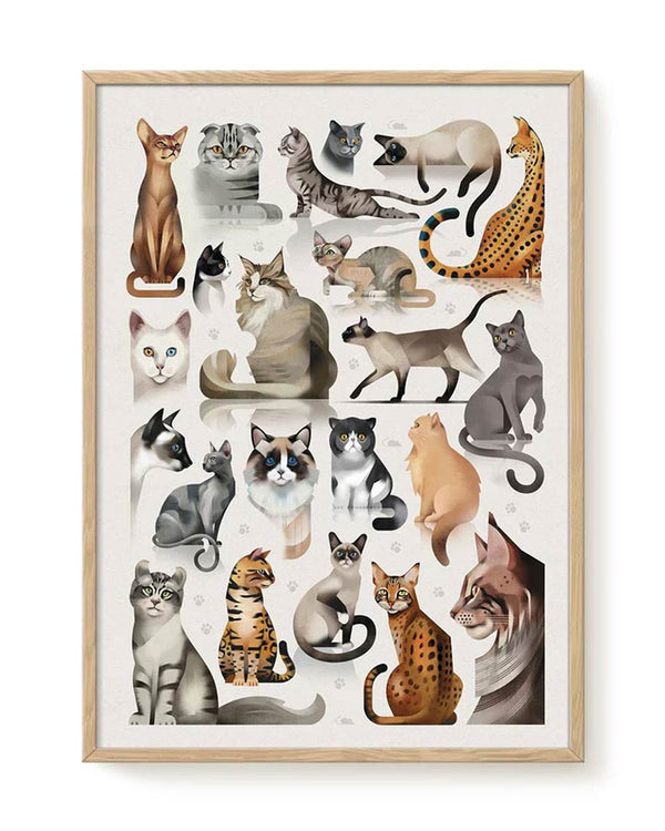 Poster Cats (50x70cm) von Dieter Braun: Zwanzig stilisierte Katzenillustrationen verschiedener Rassen in geometrischem Design auf hellem Hintergrund, gerollt und ungerahmt erhältlich.