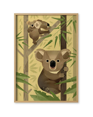 Koala Poster (50x70cm)