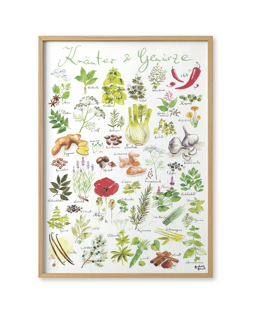 Kräuter / Gewürze Poster (50 x 70 cm)