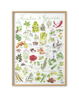 Kräuter / Gewürze Poster (50 x 70 cm)