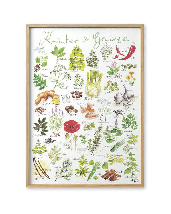 Kräuter / Gewürze Poster (50 x 70 cm)