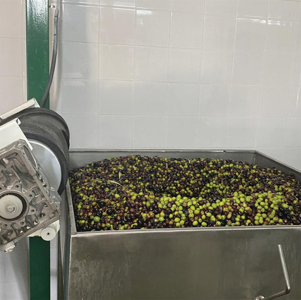 Levantes GRACE - Extra Virgin Olivenöl - 350ml