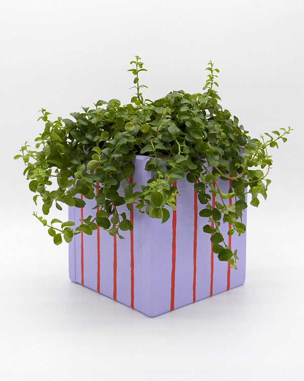 Art Pot Lilac Red Stripes - Unikat