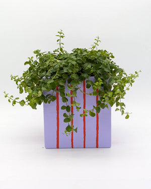 Art Pot Lilac Red Stripes - Unikat