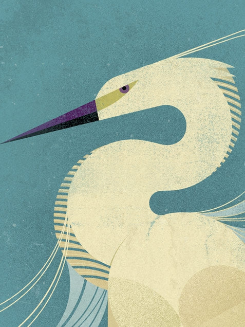 Little Egret Poster (50 x 70 cm)