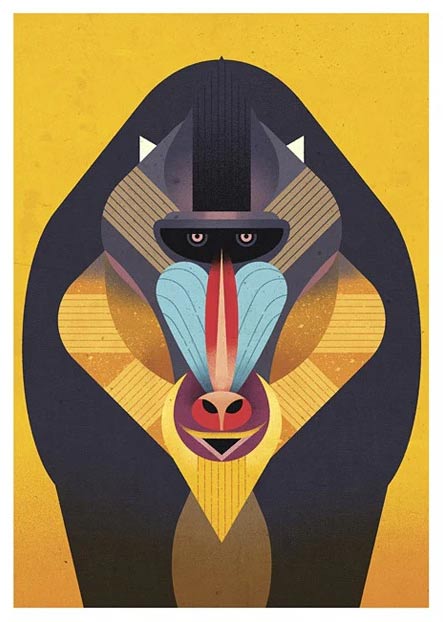 Mandrill Postkarte