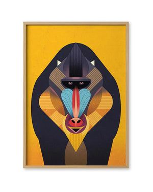 Mandrill Poster (50x70cm)