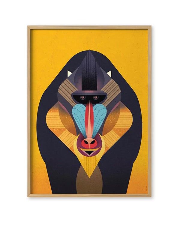 Mandrill Poster (50x70cm)