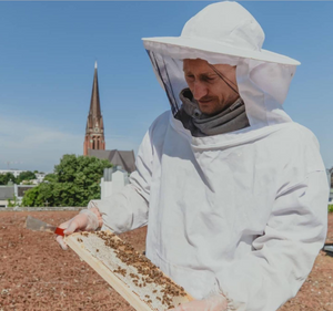 Hamburger Stadthonig - Schanzenpark - 375g