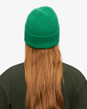 Merino Wool Beanie Kelly Green