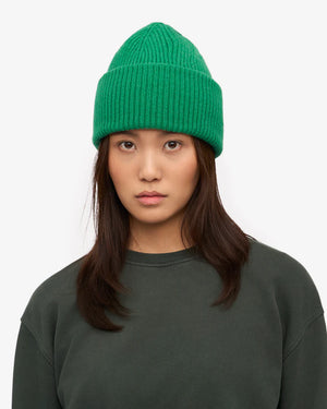 Merino Wool Hat Kelly Green