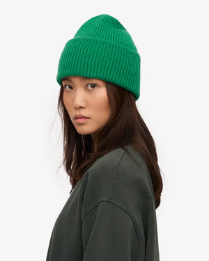 Merino Wool Hat Kelly Green