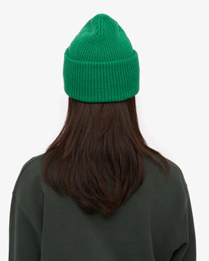 Merino Wool Hat Kelly Green