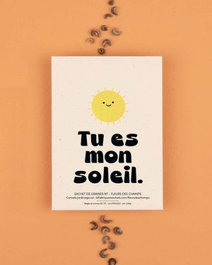 „Du bist meine Sonne” Wildblumen Samentüte - La Fabrique à Sachets