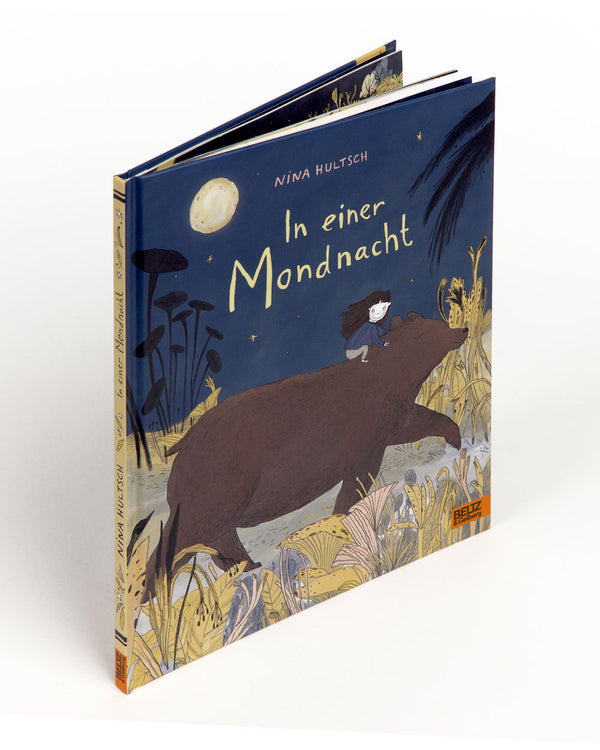 In einer Mondnacht