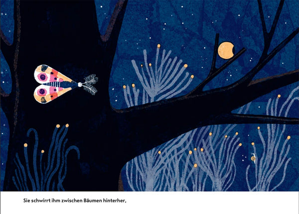 Motte und Mond