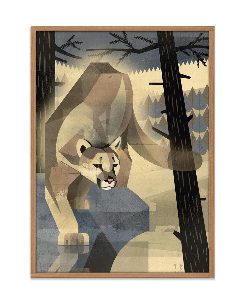 Dieter Braun Mountain Lion Poster (50x70cm)