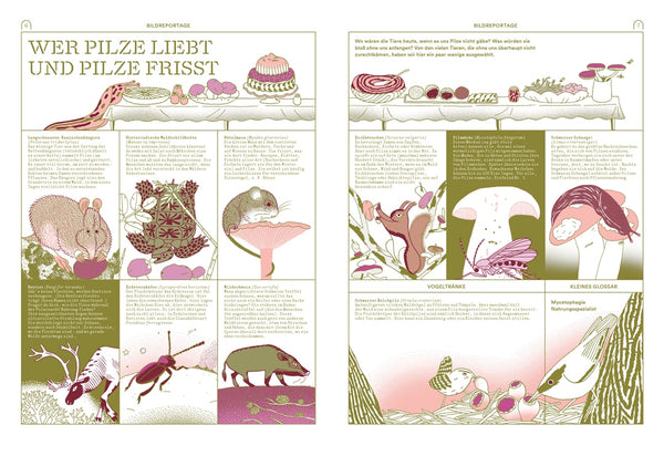 Myko - Wissenswertes aus der Welt der Pilze - Ausgabe I-X