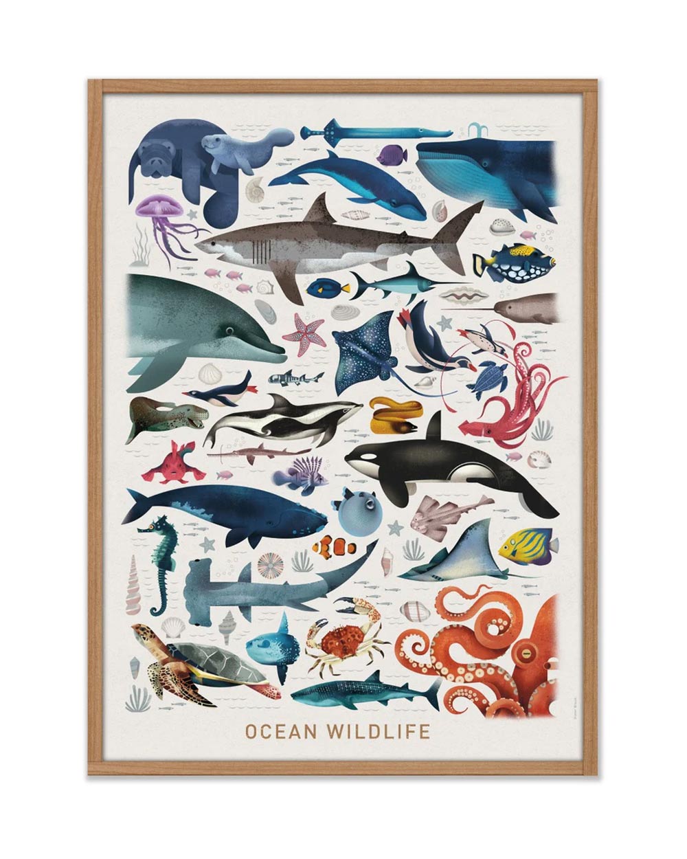 Ocean Wildlife Poster (50x70cm)