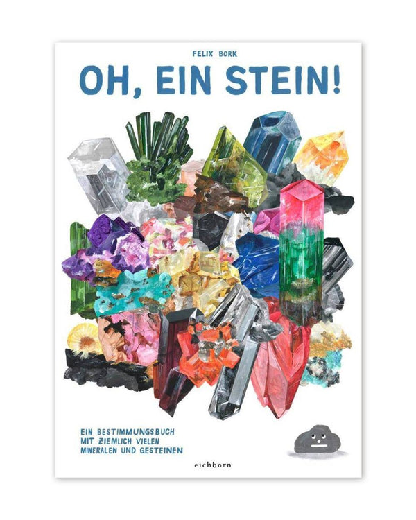 Oh, ein Stein! Bestimmungsbuch