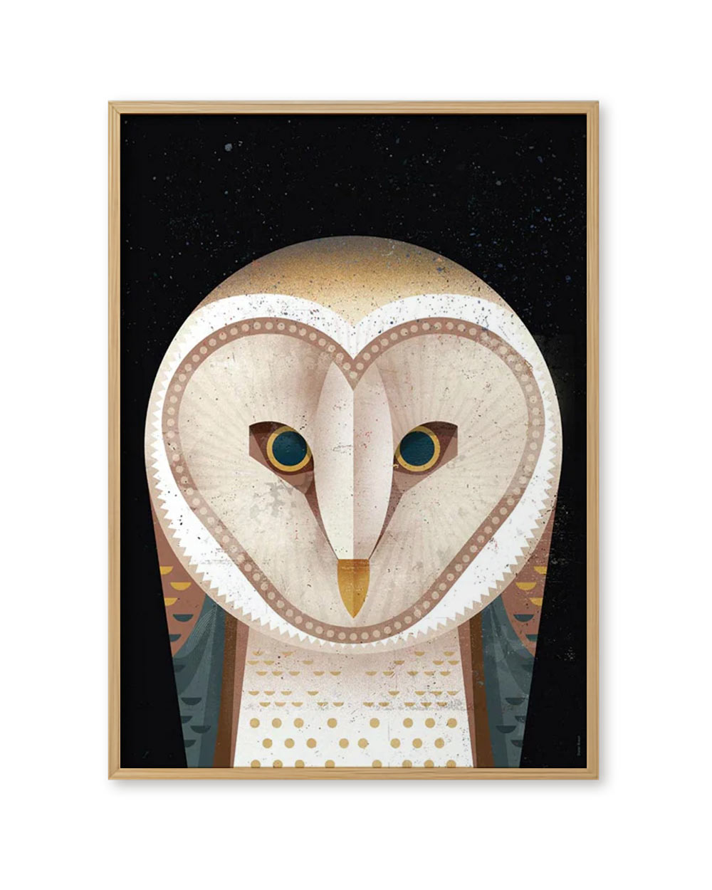 Barn Owl Poster (50 x 70 cm)