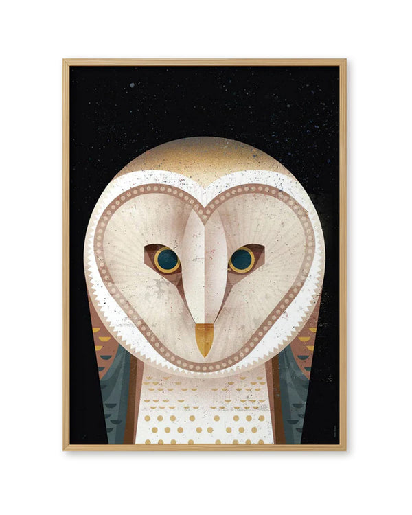 Barn Owl Poster (50 x 70 cm)