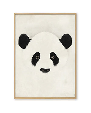 Giant Panda Poster (50 x 70 cm)