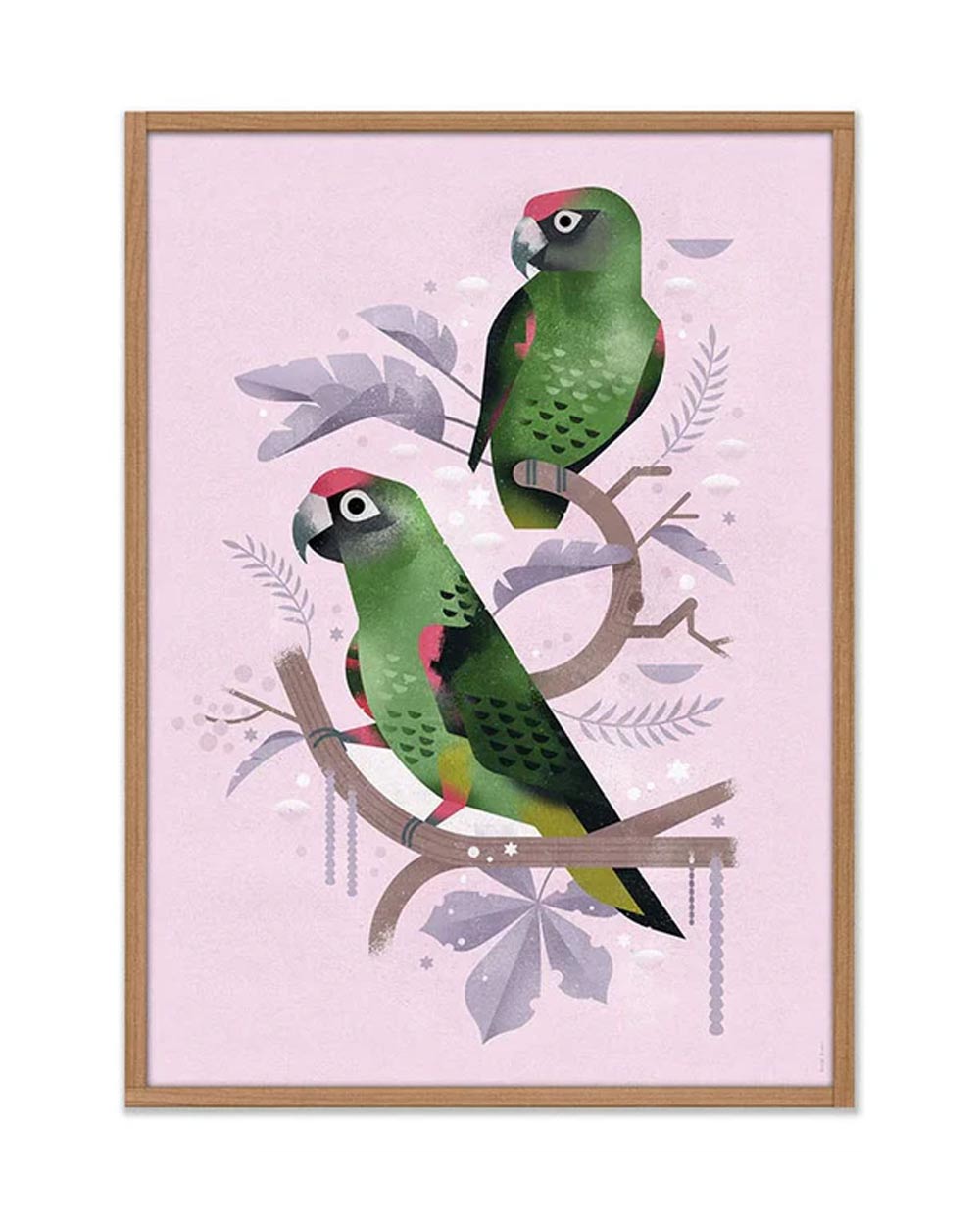 Red-Fronted Parrot Poster (50x70cm)