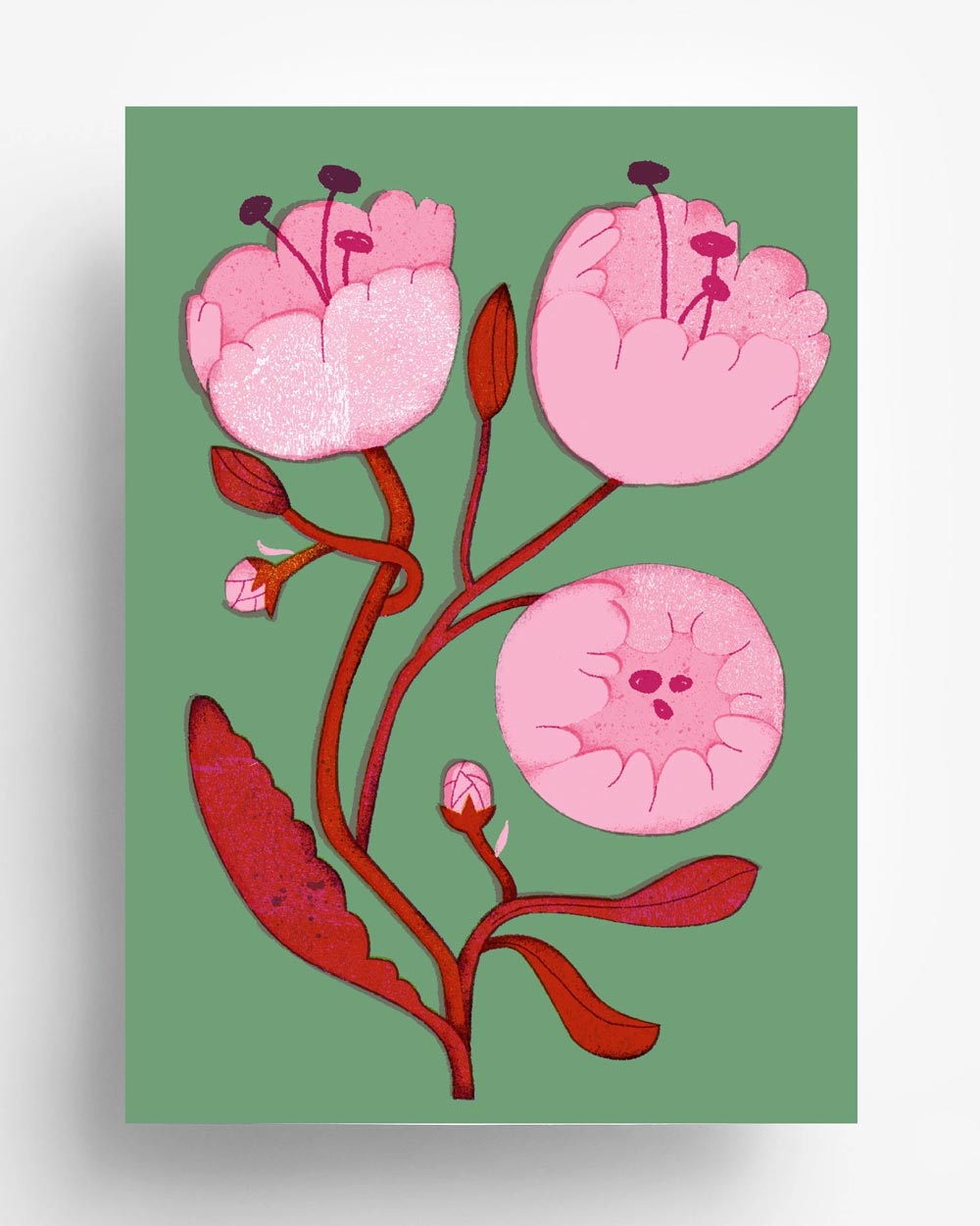 Barbara Dziadosz Peonies Flower Postkarte