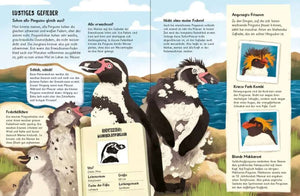 Was für Sachen Pinguine machen