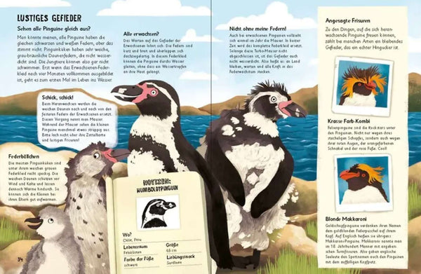 Was für Sachen Pinguine machen