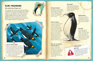 Was für Sachen Pinguine machen