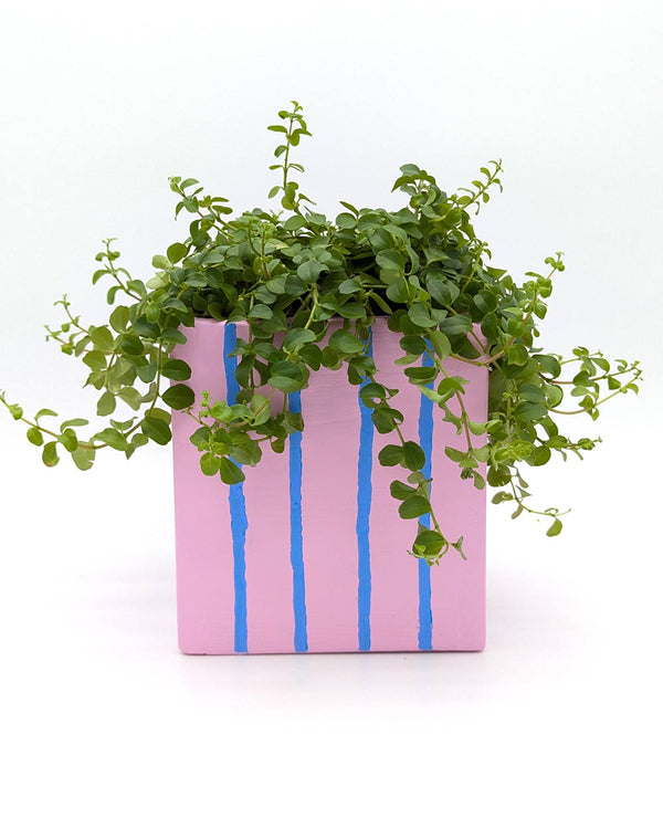 Art Pot Pink Blue Stripes - Unikat