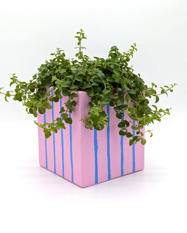 Art Pot Pink Blue Stripes - Unikat