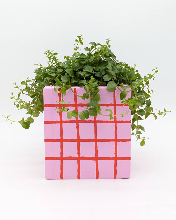 Art Pot Pink Red Grid – Unikat