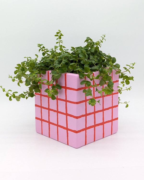 Art Pot Pink Red Grid – Unikat