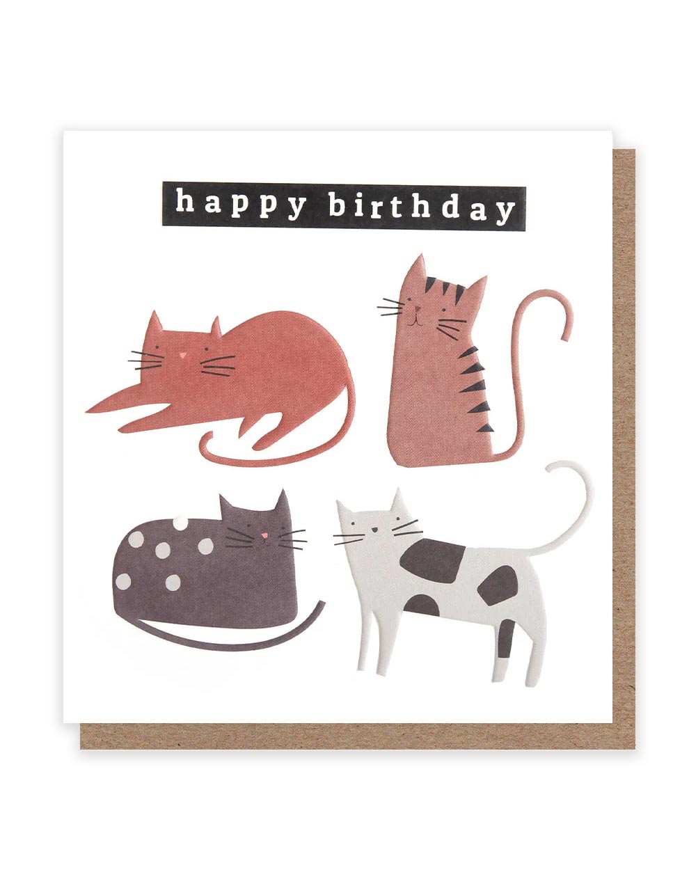 Posing Cats Happy Birthday Klappkarte