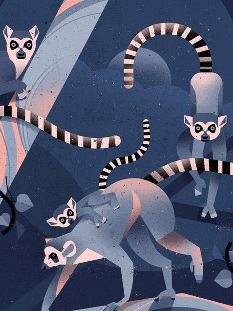 Katta Poster (50 x 70 cm)
