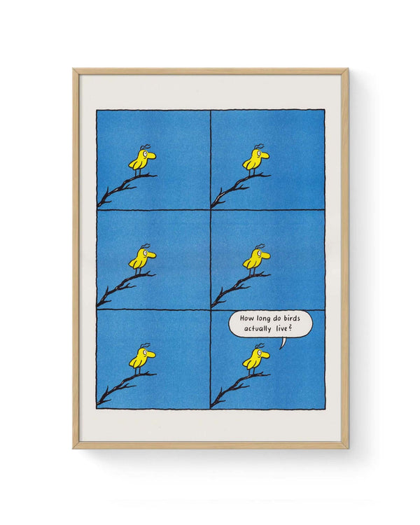 RFI-Risodruck (DinA3) Bird von Nadine Redlich: Sechs-Panel-Cartoon zeigt gelben Vogel auf Ast, der im letzten Panel fragt: „Wie lange leben Vögel eigentlich?“